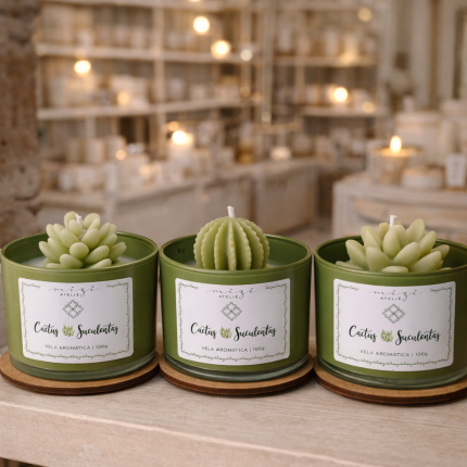 Vela Cactos e Suculentas